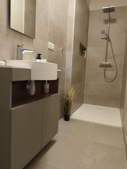 Castel De Satoya Apartment แบลฟอร์ ภายนอก รูปภาพ